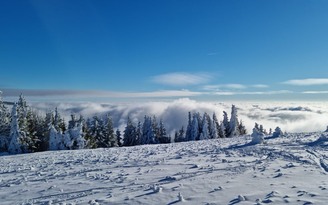 6. razredi se vračajo iz ŠVN Kope